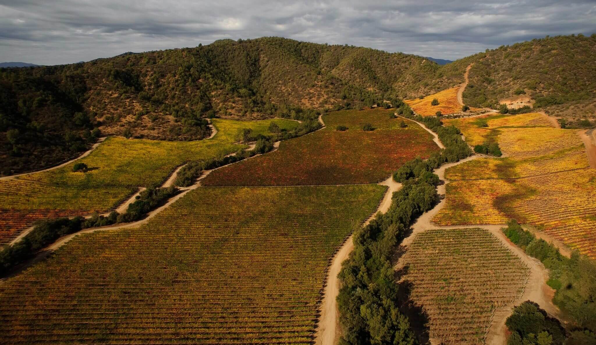 Sip And Cycle Through Chile's Casablanca Wine Valley 