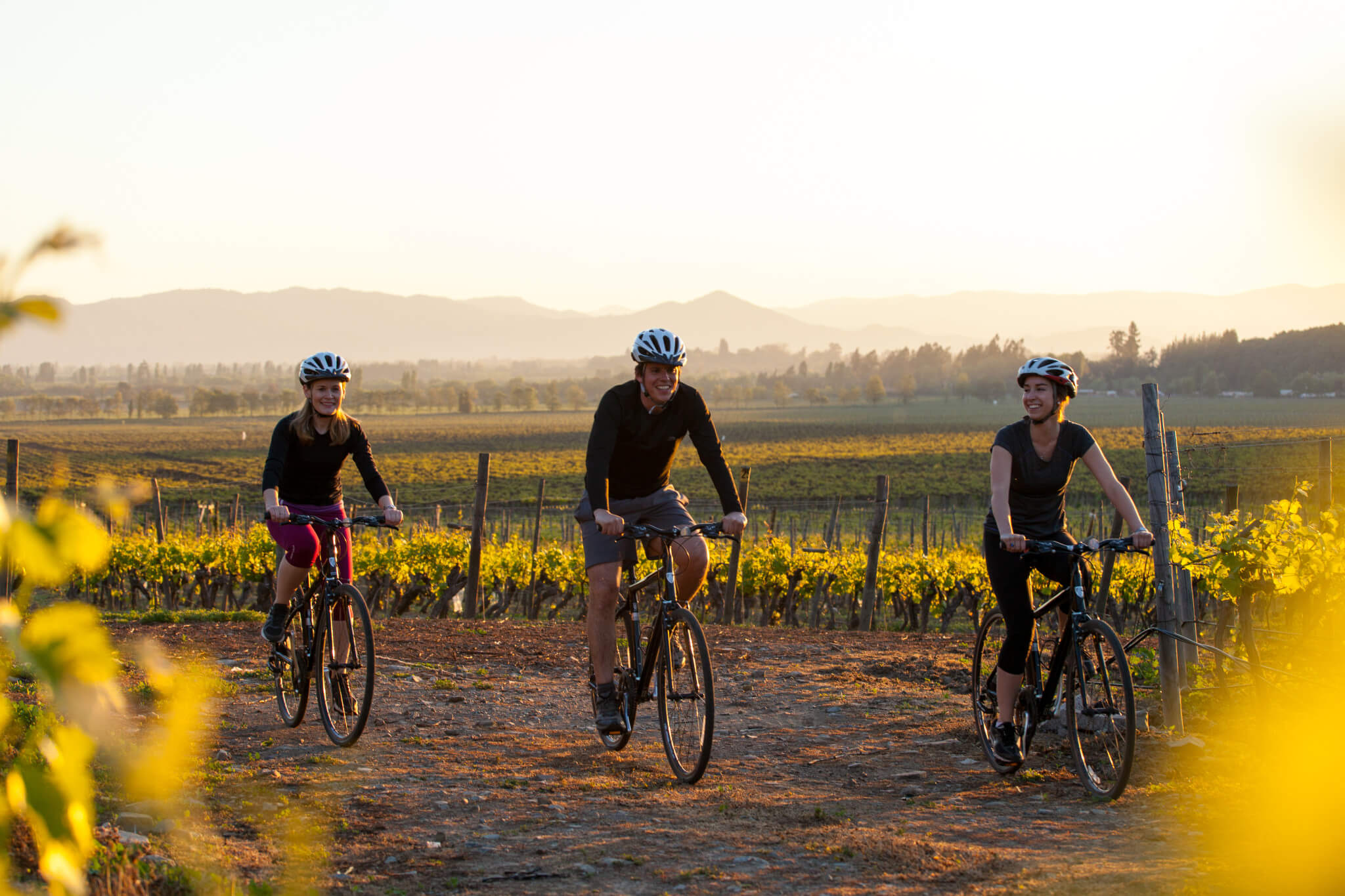 The Best of Chile's Central Valley tour with local guides | UPSCAPE