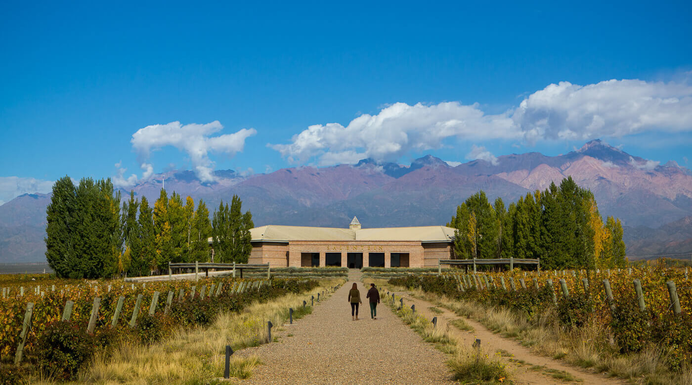 Boutique hotels + vineyards: A 4-day Mendoza Wine Tour | UPSCAPE