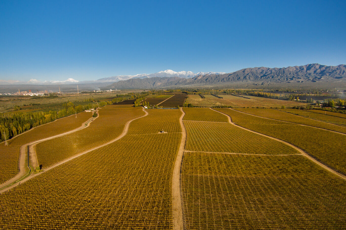 Aerial view of Mendoza wine country Argentina