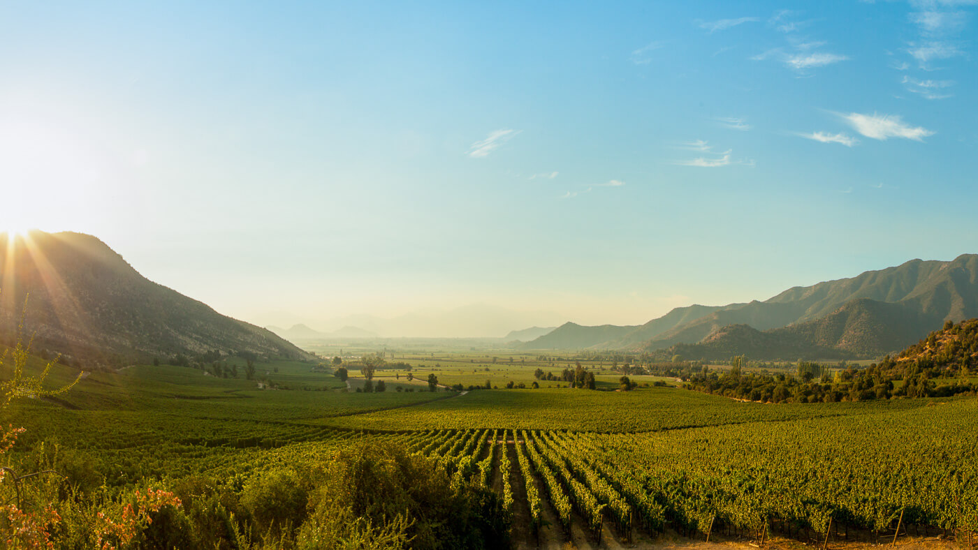 A Few Top Picks for Your Visit to Chile's Wine Valleys