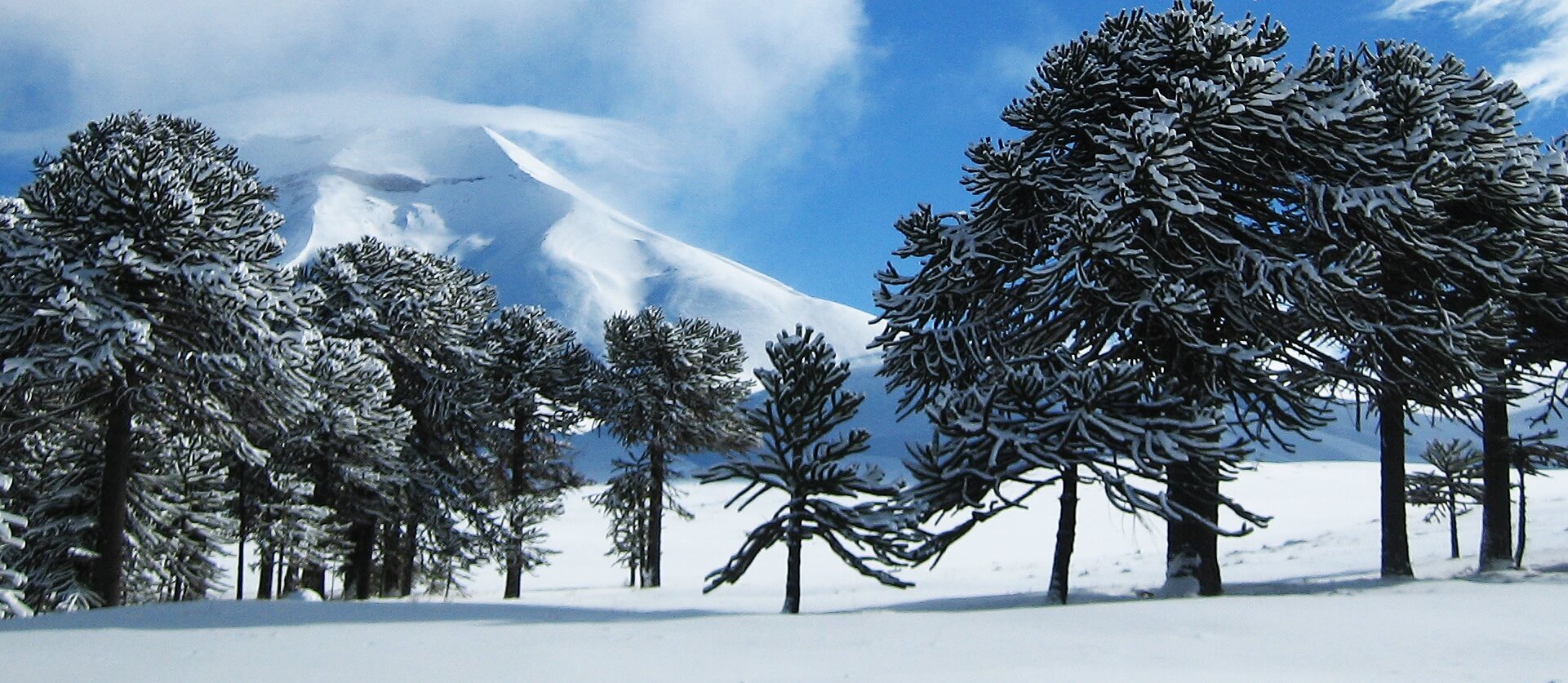 Corralco ski center Chile