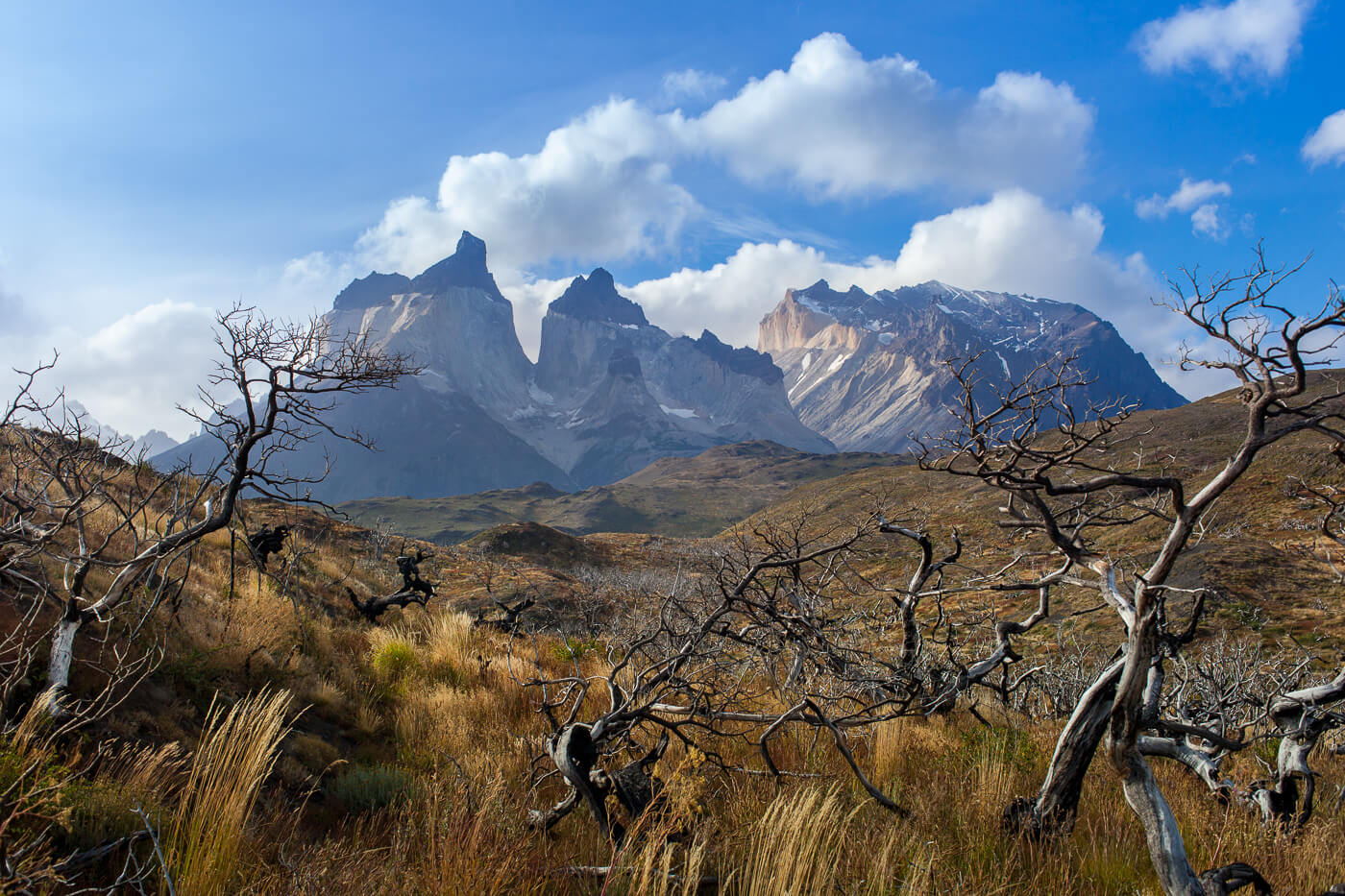 Patagonia-Torres-del-Paine-Chile-Hiking