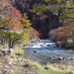 Patagonia River Hike