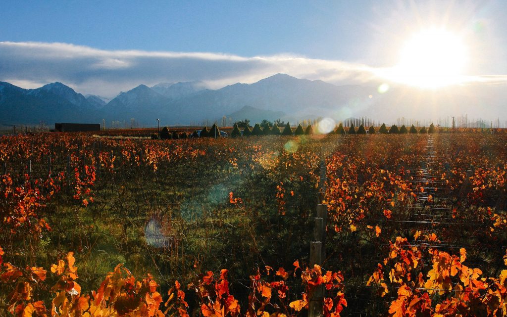 Mendoza - Autumn view